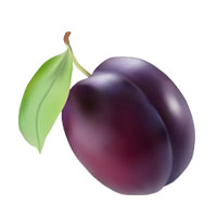 قیمت نهال آلو
