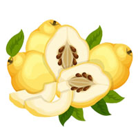 قیمت نهال به