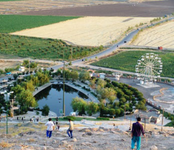خرید فروش قیمت نهال در نقده